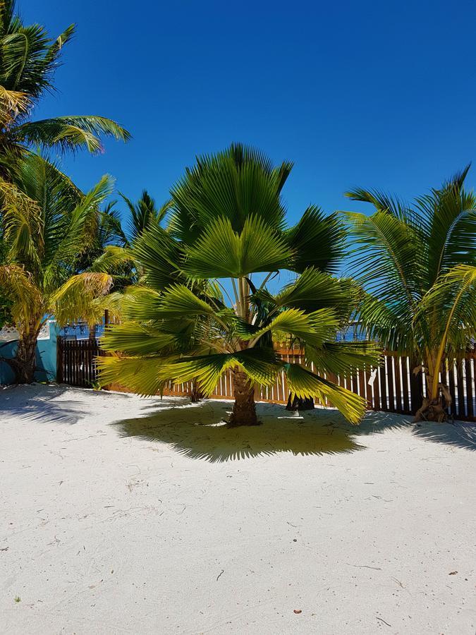 Carolyn'S House Villa Caye Caulker Bagian luar foto